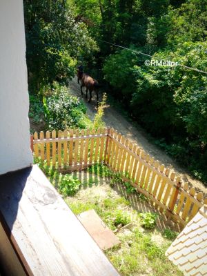Another viewpoint from the upstairs porch - life in the village